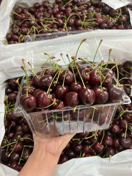 Địa chỉ vàng cho trái cây sạch và nhập khẩu cao cấp tại Cần Giờ