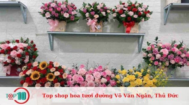 Lê Vũ - Nghệ thuật trao gửi yêu thương