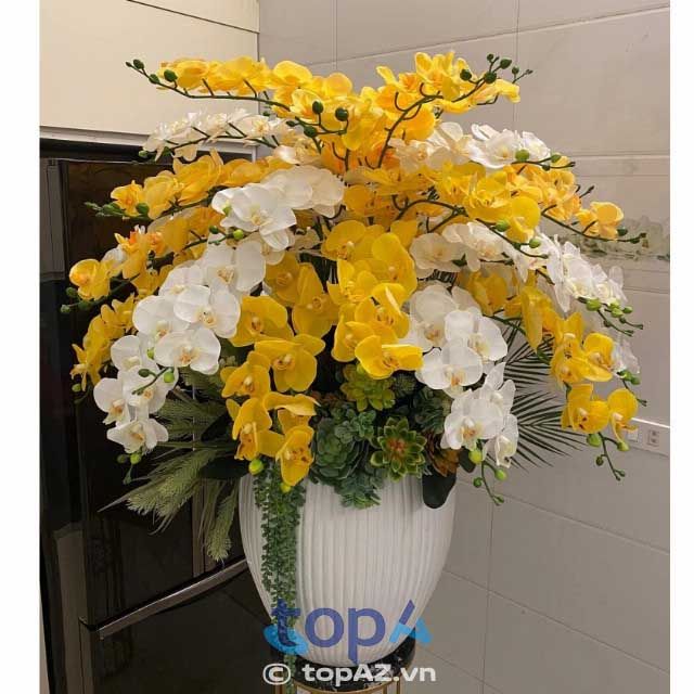 Shop Hoa Bông Xinh - Điểm hẹn của những đóa lan kiêu sa