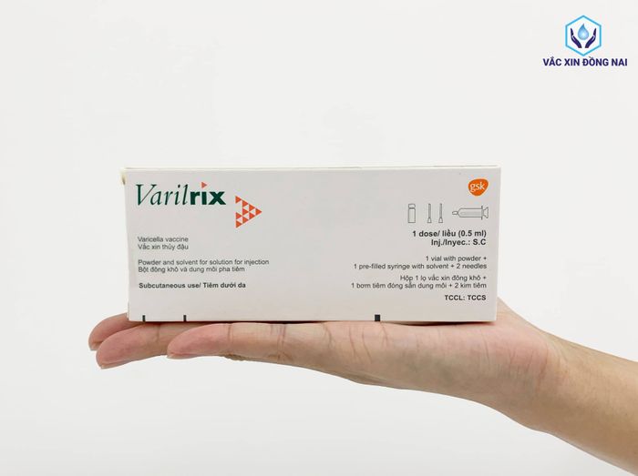 Không gian tiêm chủng hiện đại tại Trung Tâm Vắc Xin Đồng Nai (ảnh 3)