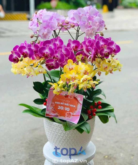 Mộc Lan Orchid - Thiên đường của những đóa lan kiêu sa