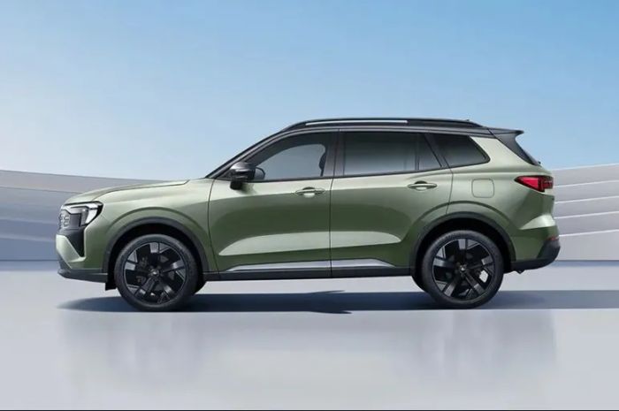Ford Territory hybrid 2.JPG