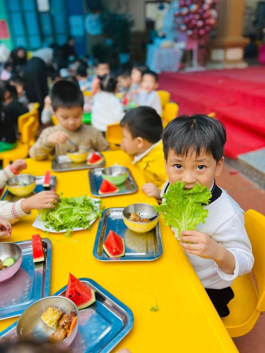 Trường Mầm Non Phương Nga Hình Ảnh 2