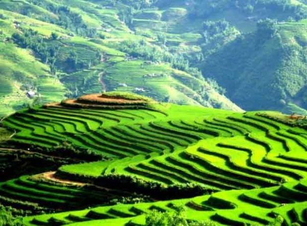 Ảnh minh họa: Cảnh quan Sa Pa và người lao động