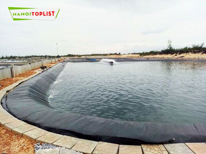 Thông tin cơ bản về bạt xanh cam và bạt lót hồ – Tripi