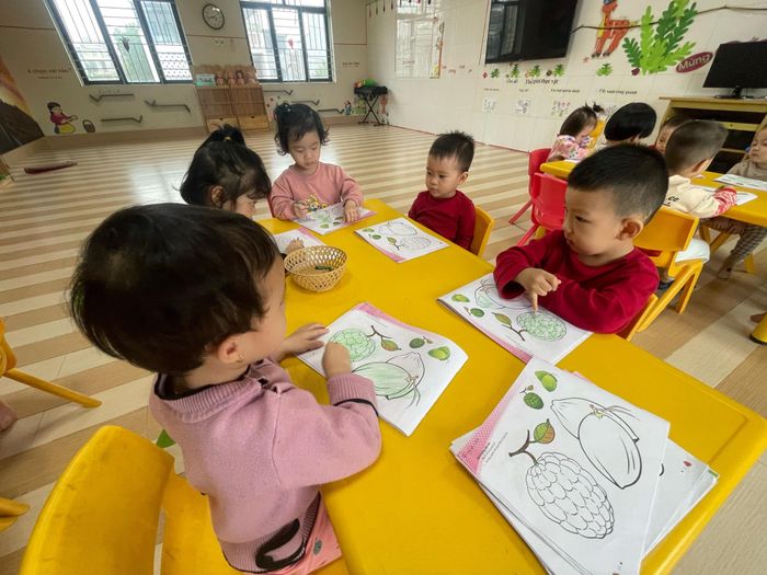 Trường Mầm Non Ánh Dương Hình Ảnh 3