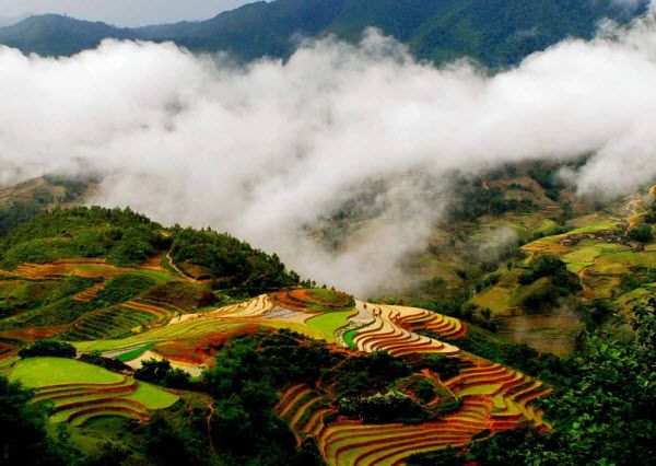 Ảnh minh họa: Khung cảnh Sa Pa yên bình