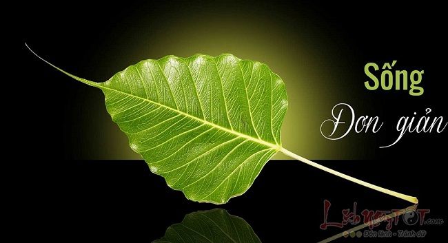 Hình ảnh minh họa sống động (Nguồn: Internet) - Ảnh 1