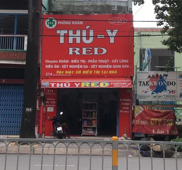 Thú Y Red – Lựa chọn lý tưởng để chăm sóc sức khỏe cho thú cưng của bạn