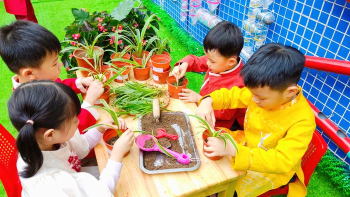 Trường Mầm Non Hoa Quỳnh Hình Ảnh 2