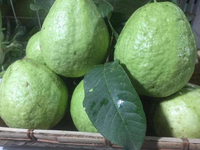 Ocity Organic Store - Ocity.vn - Hình ảnh 2