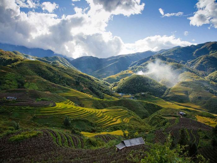 Ảnh minh họa: Phong cảnh Sa Pa và hình ảnh người lao động
