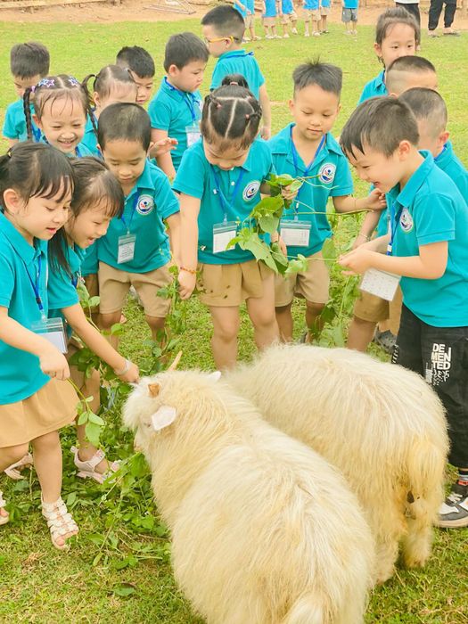 Trường Mầm Non Công Ty May Đáp Cầu Hình Ảnh 1