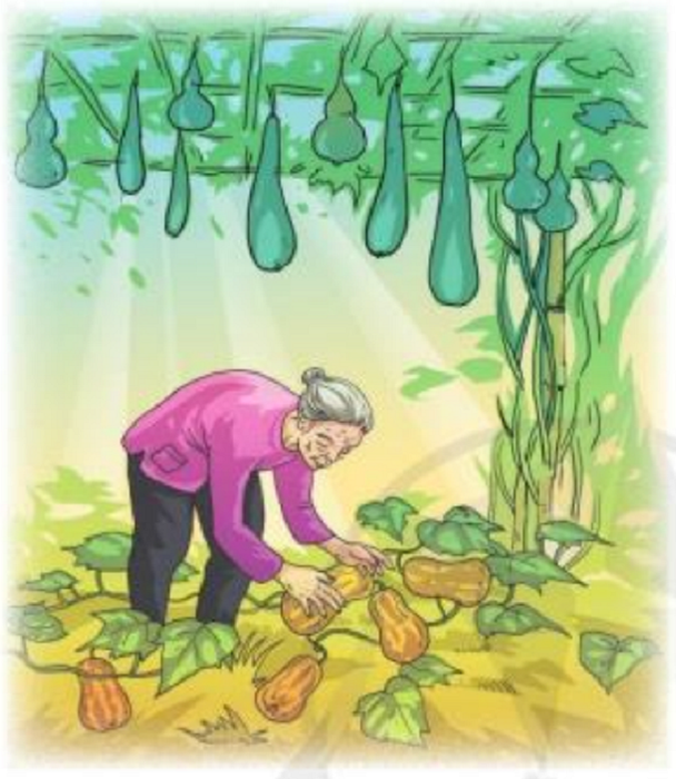 Hình minh họa (Nguồn internet) - ảnh 1