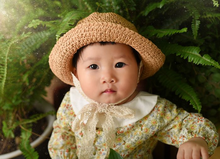 MEO Baby Studio hình ảnh 2