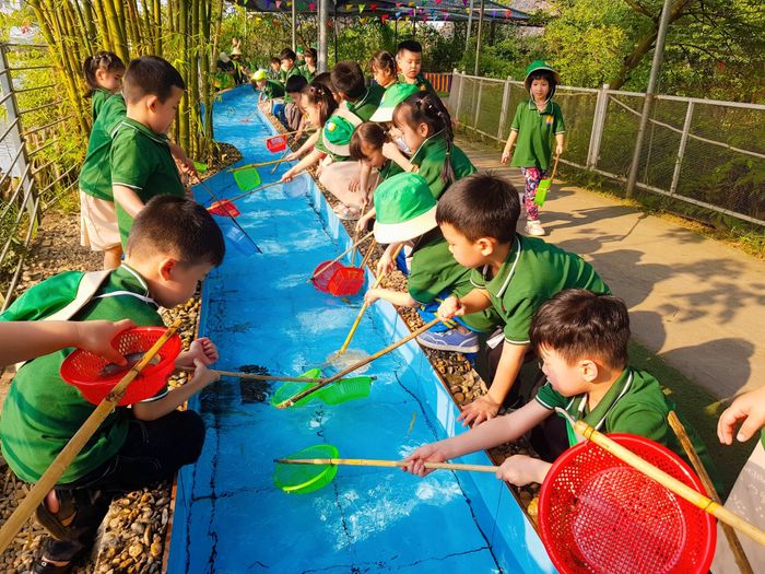 Trường Mầm Non Hoa Quỳnh Hình Ảnh 1