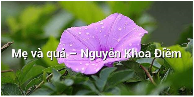 Ảnh minh họa (Nguồn internet) - hình ảnh 1