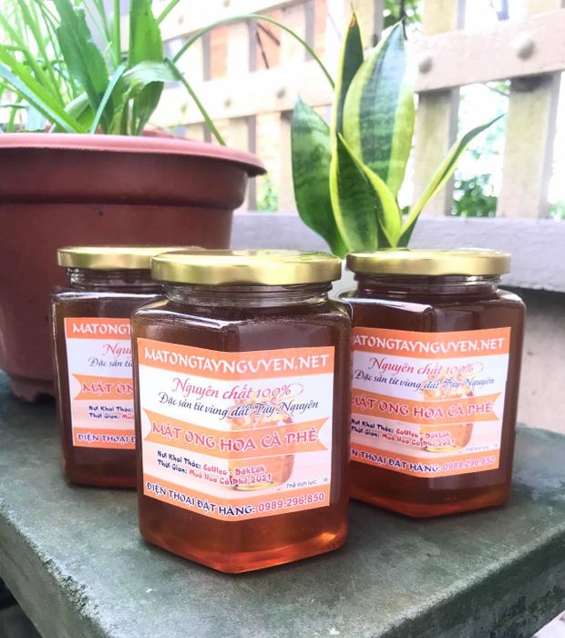 Mật Ong Tây Nguyên Hình Ảnh 2