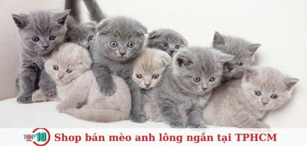Nhà vật yêu
