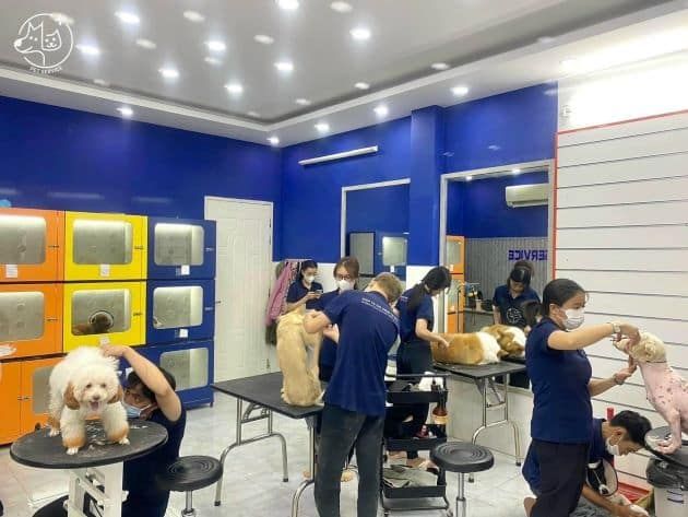 Pet Service - Đẳng cấp chăm sóc thú cưng