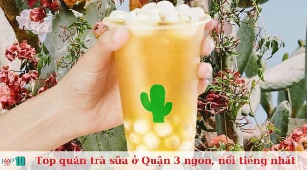 Katus Tea & Coffee - Trà ngon view đẹp
