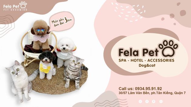 FELA PET - Điểm hẹn chăm sóc thú cưng đáng tin cậy