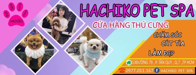 Hachiko Pet Spa - Thiên đường cho thú cưng