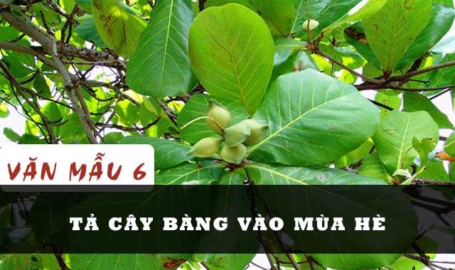 Ảnh minh họa (Nguồn internet) ảnh 1
