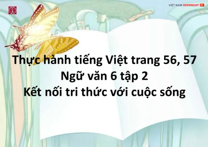 Ảnh minh họa bổ trợ kiến thức (Nguồn internet)