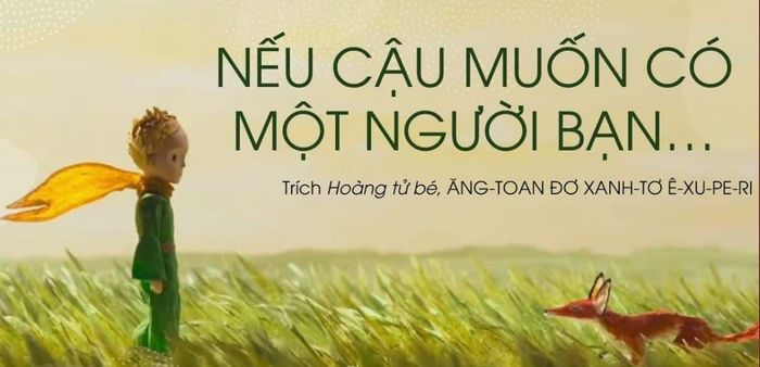 Hình ảnh minh họa ý nghĩa (Nguồn: internet) ảnh 1