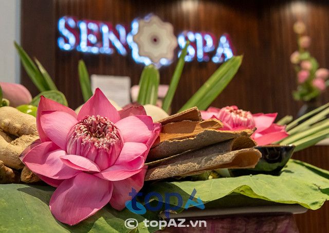 Sen Bay Spa Natural - Đánh thức vẻ đẹp thuần khiết