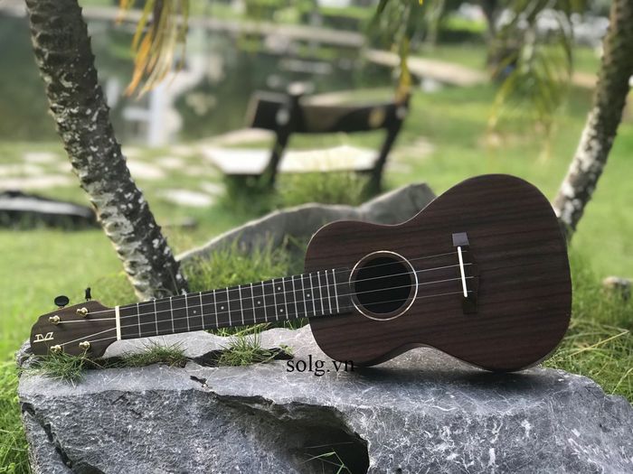 Hình ảnh không gian trưng bày piano cao cấp tại SolG.vn