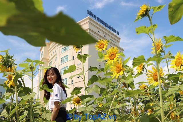 Trường Đại học với khuôn viên đẹp nhất tại TP.HCM không thể thiếu Trường ĐH KHXH&NV. Mỗi góc nhỏ trong khuôn viên đều toát lên vẻ yên bình và đầy cảm hứng.