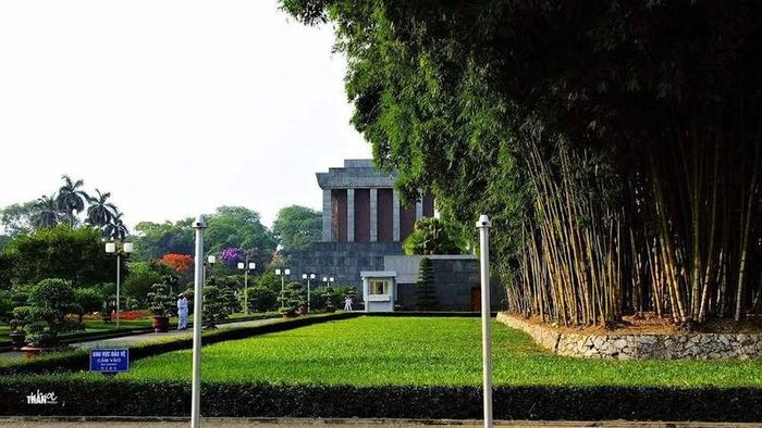 Hình ảnh minh họa (Nguồn: internet) ảnh 1