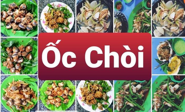 Những món ốc đặc sản được chế biến tinh tế tại Ốc Chòi