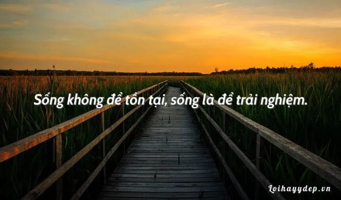 Hình ảnh minh họa ý nghĩa (Nguồn: internet)