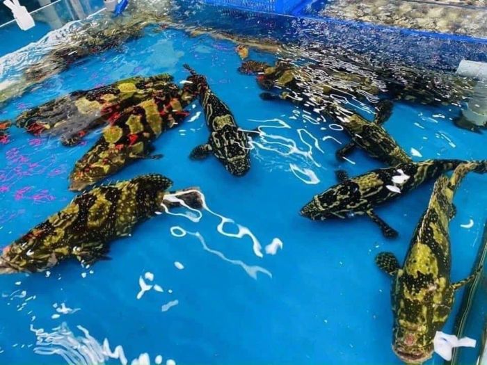 Những món ngon đặc trưng tại Thiên Lộc Seafood