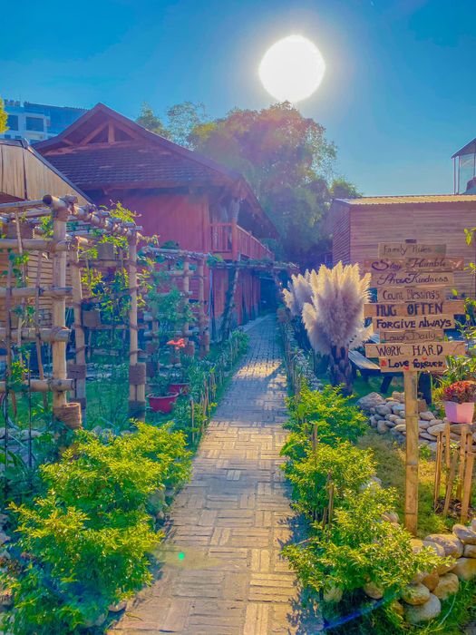 Không gian độc đáo tại Golden Jungle House