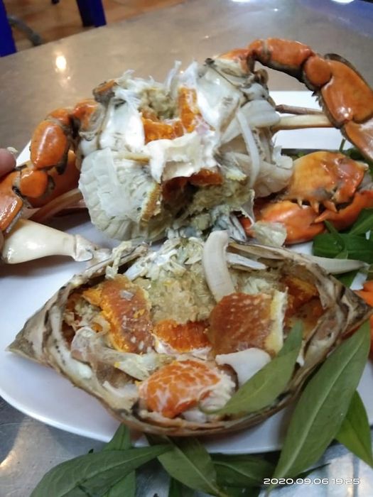 Những món ốc đặc sản được trình bày tinh tế tại Ốc Tèo