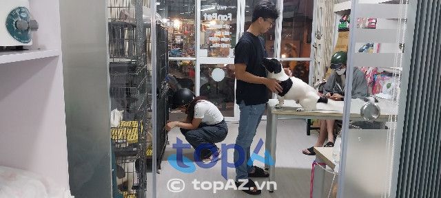 FanPet Bình Thạnh - Nơi gửi trọn niềm tin sức khỏe thú cưng