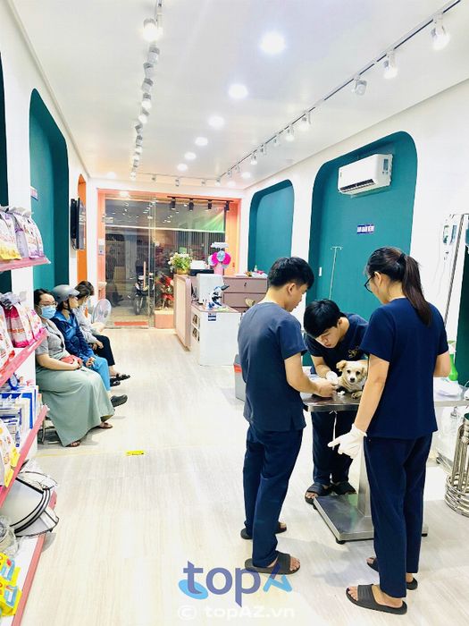 Pet Galaxy Bình Thạnh - Địa chỉ vàng cho sức khỏe và sắc đẹp thú cưng