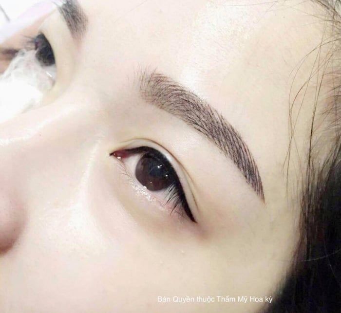 Hình ảnh minh hoạ Viện Thẩm Mỹ Hoa Kỳ 1