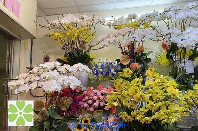 Địa chỉ đáng tin cậy để đặt hoa khai trương tại Nhà Bè.