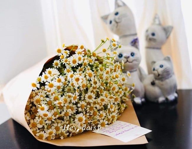 Shop hoa tươi Quận 2 - Hey, daisy