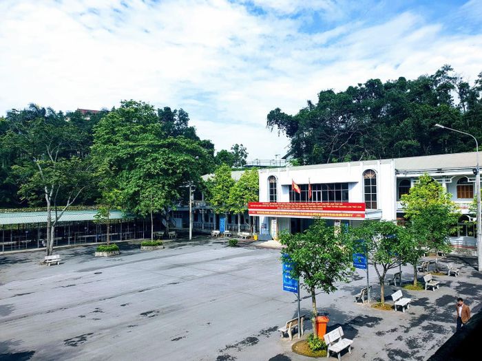 Hoa Của Nắng - Nơi kết tinh những tia nắng thành sắc hoa