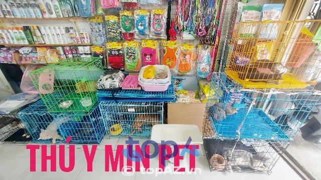 Địa chỉ vàng chăm sóc sức khỏe thú cưng tại trái tim quận Bình Thạnh