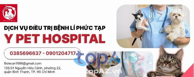 Y-Pet Hospital Bình Thạnh - Địa chỉ vàng cho sức khỏe thú cưng