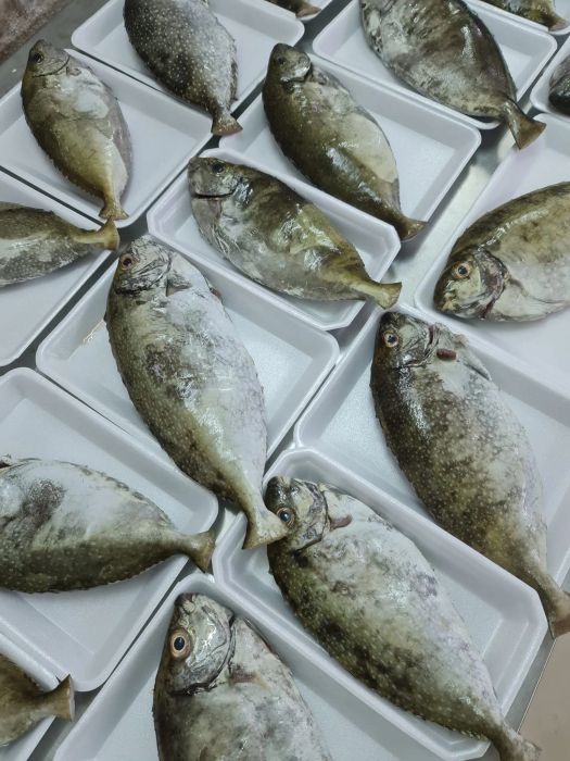 BEBA Mart - Hình ảnh không gian thực phẩm sạch