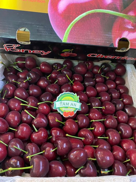Thực Phẩm Sạch Tâm An ảnh 1 – Hương vị sạch trong từng khuôn hình