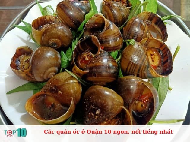 Tuyển tập 12 quán ốc đình đám nhất Quận 10 - điểm hẹn không thể bỏ qua cho tín đồ ẩm thực